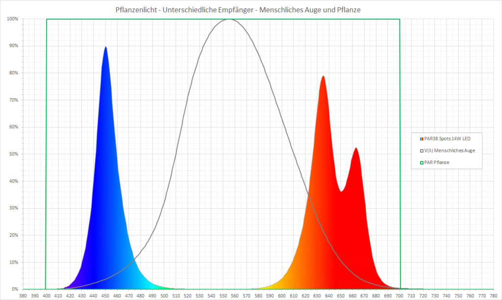Grafik_Mensch_Pflanze
